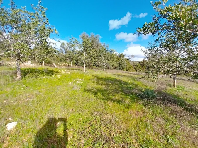 Terreno para Venda em Paderne Foto 7
