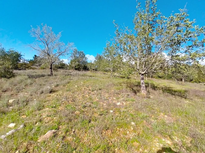 Terreno para Venda em Paderne Foto 8