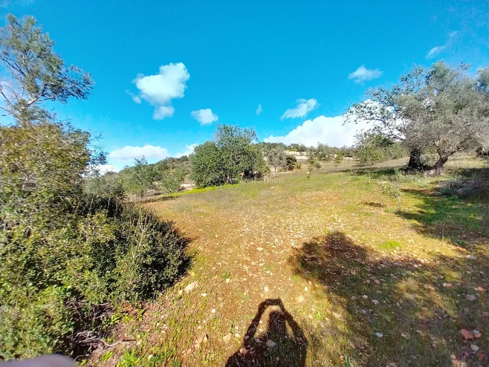 Terreno para Venda em Paderne Foto 2