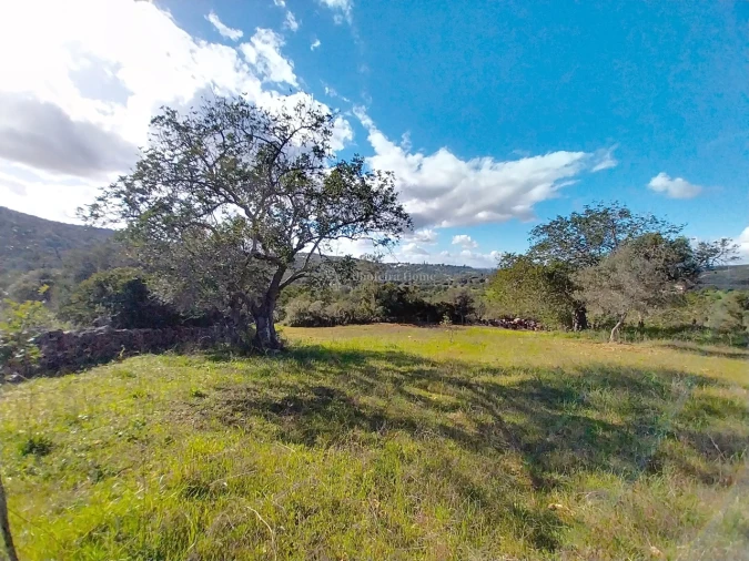 Terreno para Venda em Paderne Foto 5