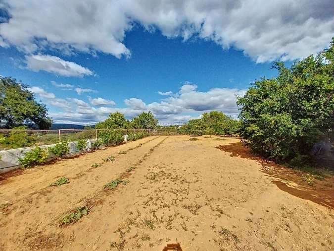 Quinta T5 para Venda em Boliqueime Foto 2