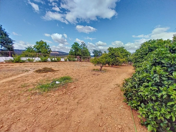 Quinta T5 para Venda em Boliqueime Foto 4