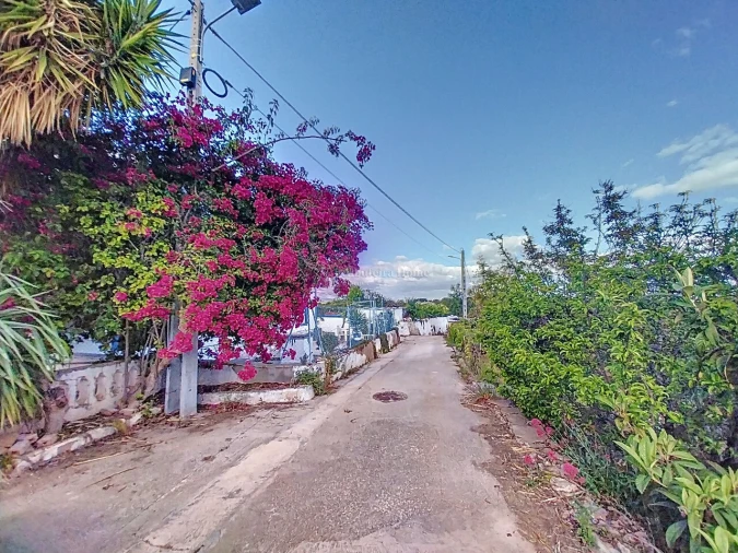 Quinta T5 para Venda em Boliqueime Foto 40