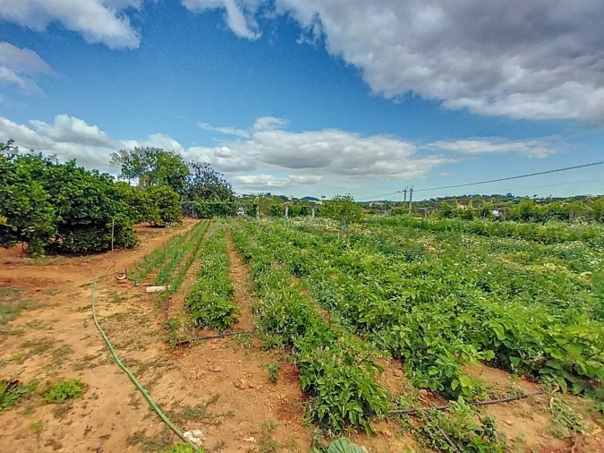 Quinta T5 para Venda em Boliqueime Foto 5