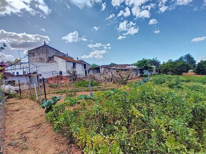 Quinta T5 para Venda em Boliqueime Foto 9