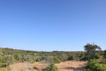 Terreno para Venda em Santa Barbara de Nexe