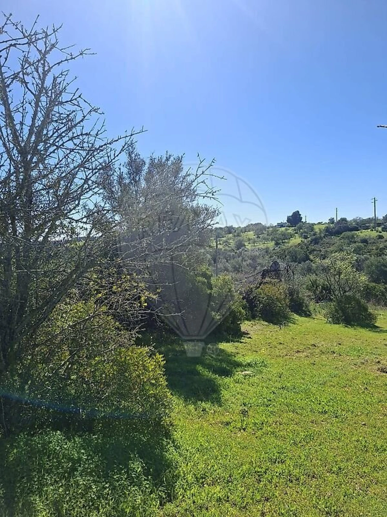 Terreno para Venda em Olhão Foto 23