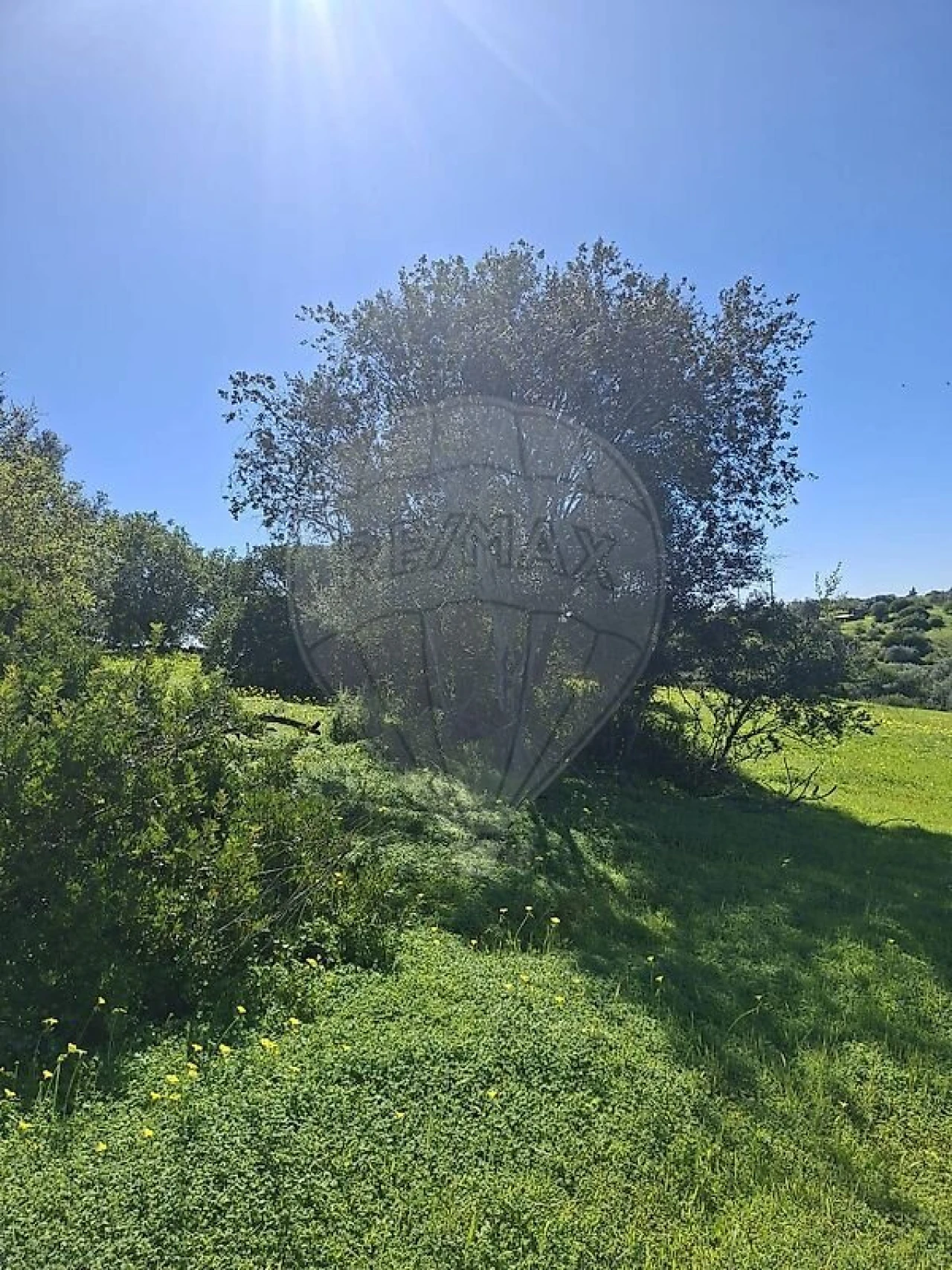 Terreno para Venda em Olhão Foto 40