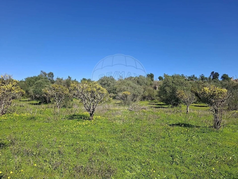 Terreno para Venda em Olhão Foto 21
