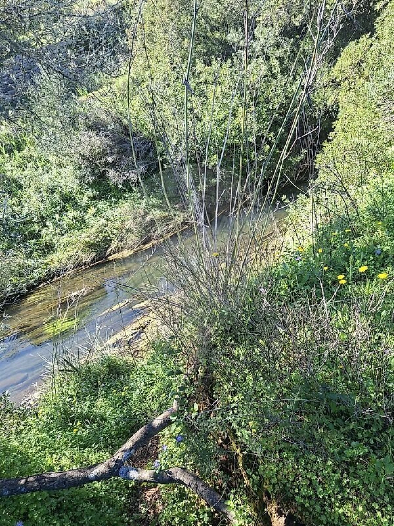 Terreno para Venda em Olhão Foto 34