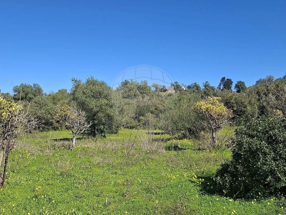 Terreno para Venda em Olhão Foto 25