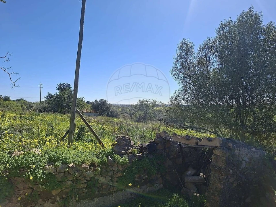 Terreno para Venda em Olhão Foto 16