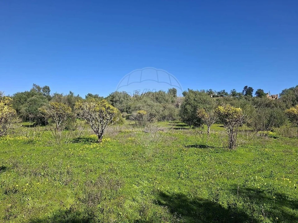 Terreno para Venda em Olhão Foto 32