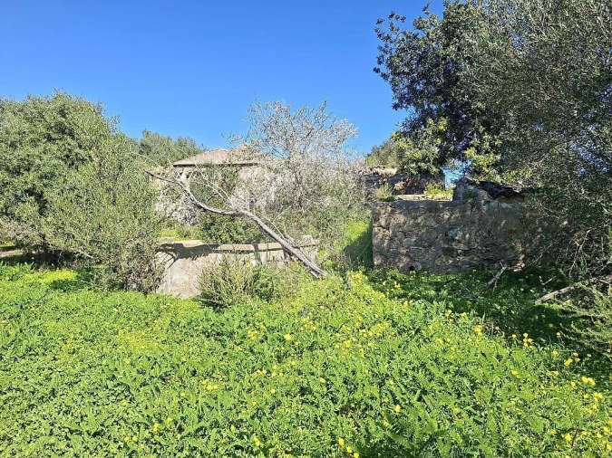 Terreno para Venda em Olhão Foto 14