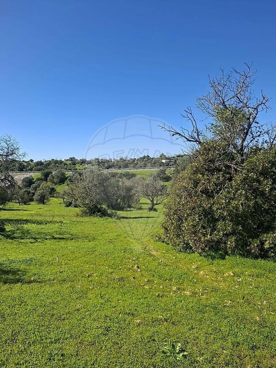 Terreno para Venda em Olhão Foto 37