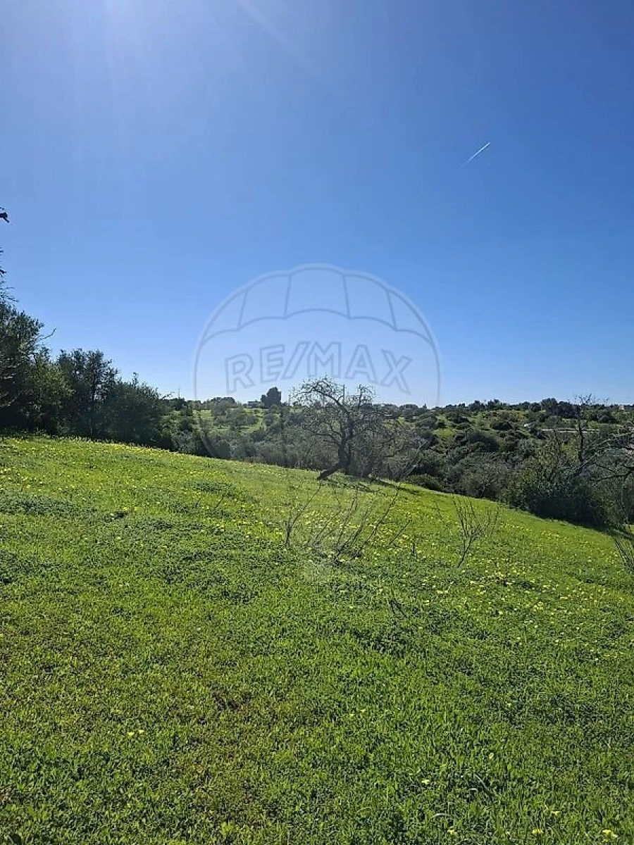 Terreno para Venda em Olhão Foto 33