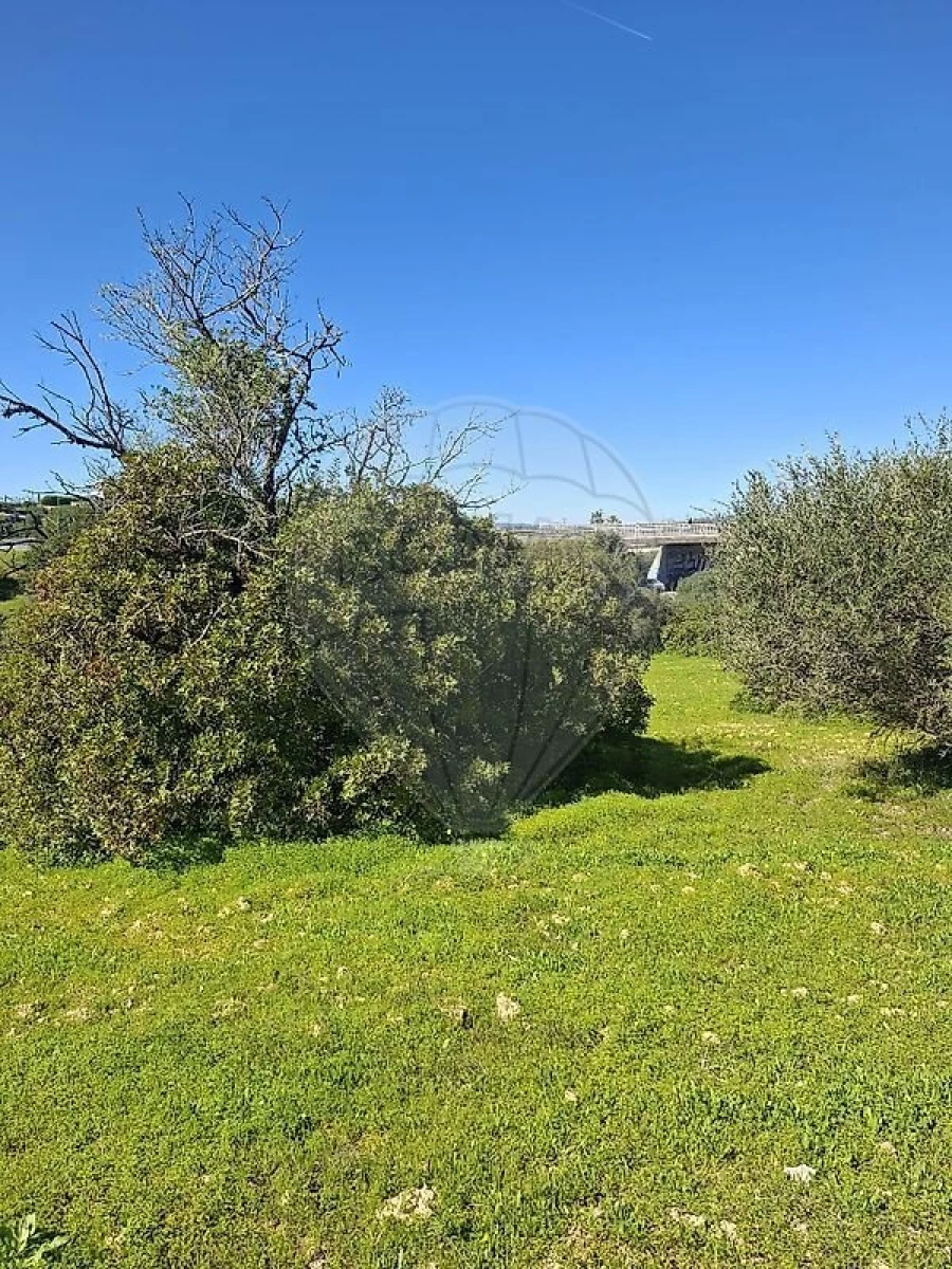 Terreno para Venda em Olhão Foto 36