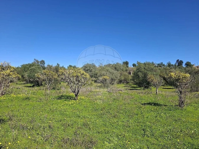 Terreno para Venda em Olhão Foto 21