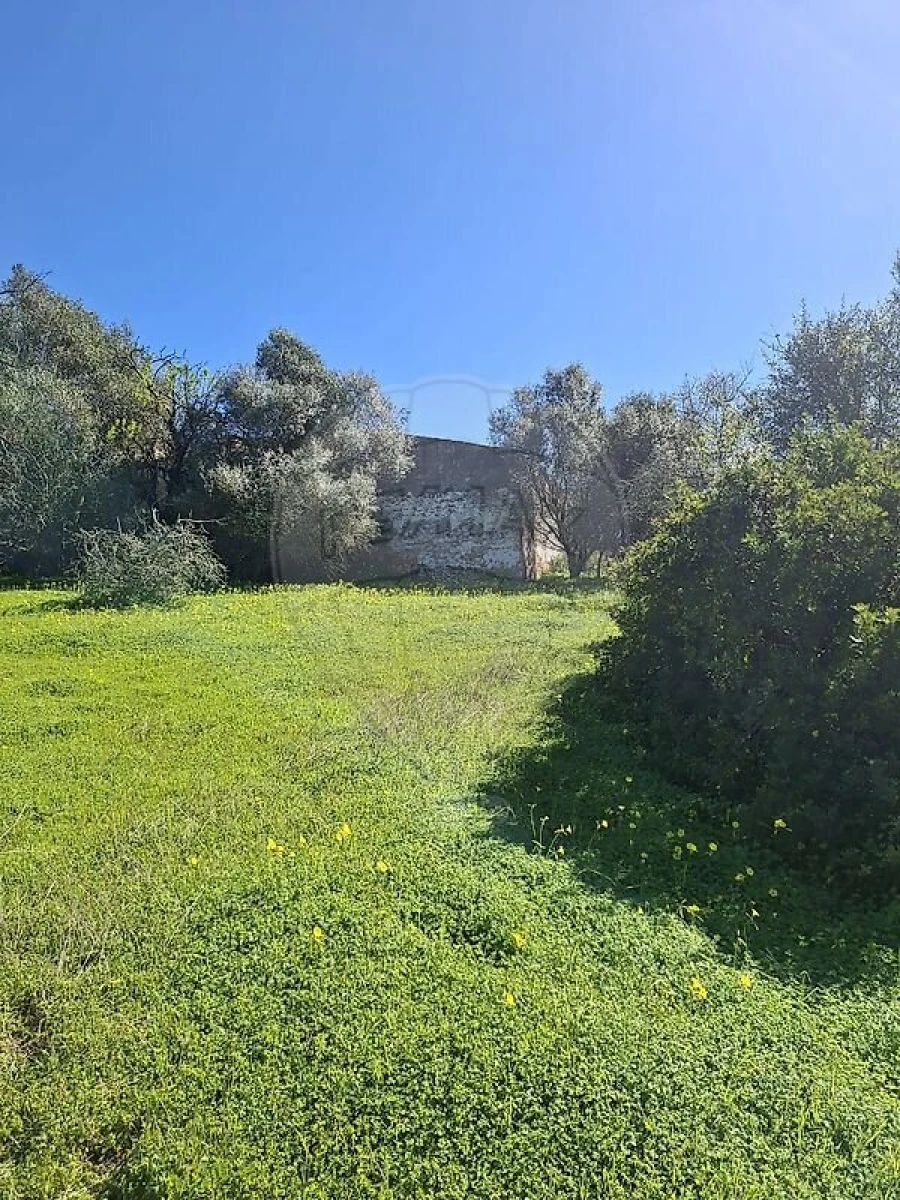 Terreno para Venda em Olhão Foto 35