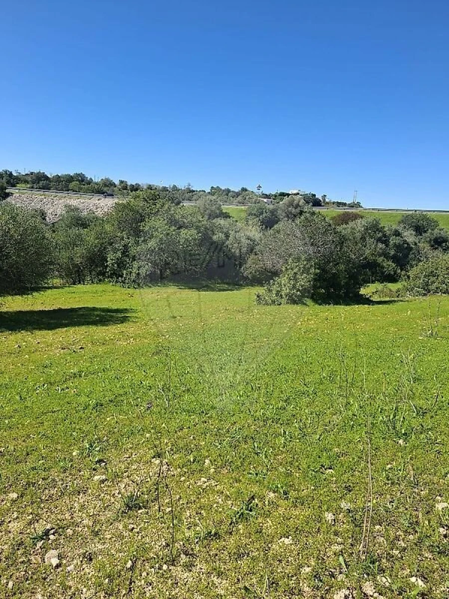 Terreno para Venda em Olhão Foto 18