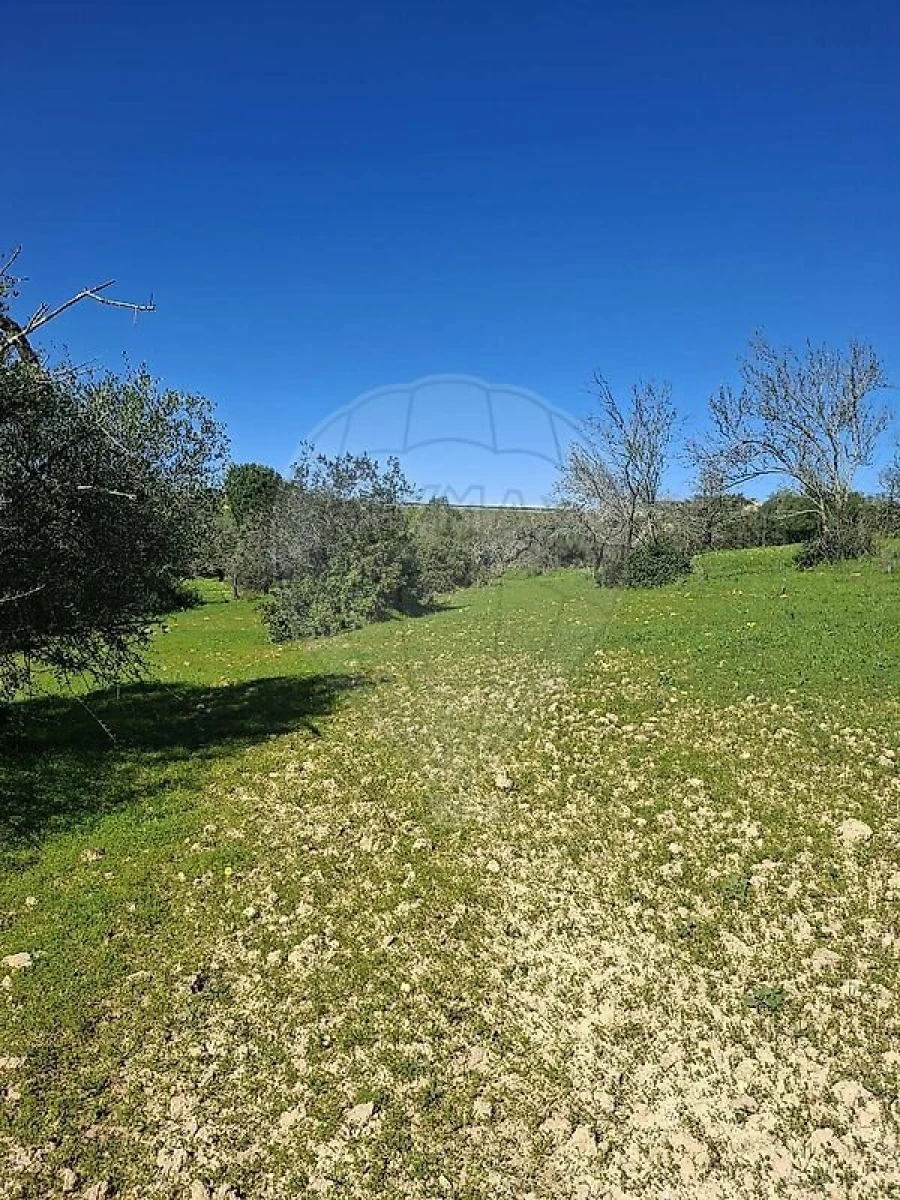 Terreno para Venda em Olhão Foto 20