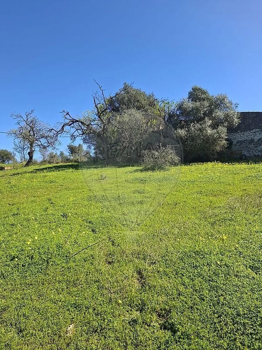 Terreno para Venda em Olhão Foto 42
