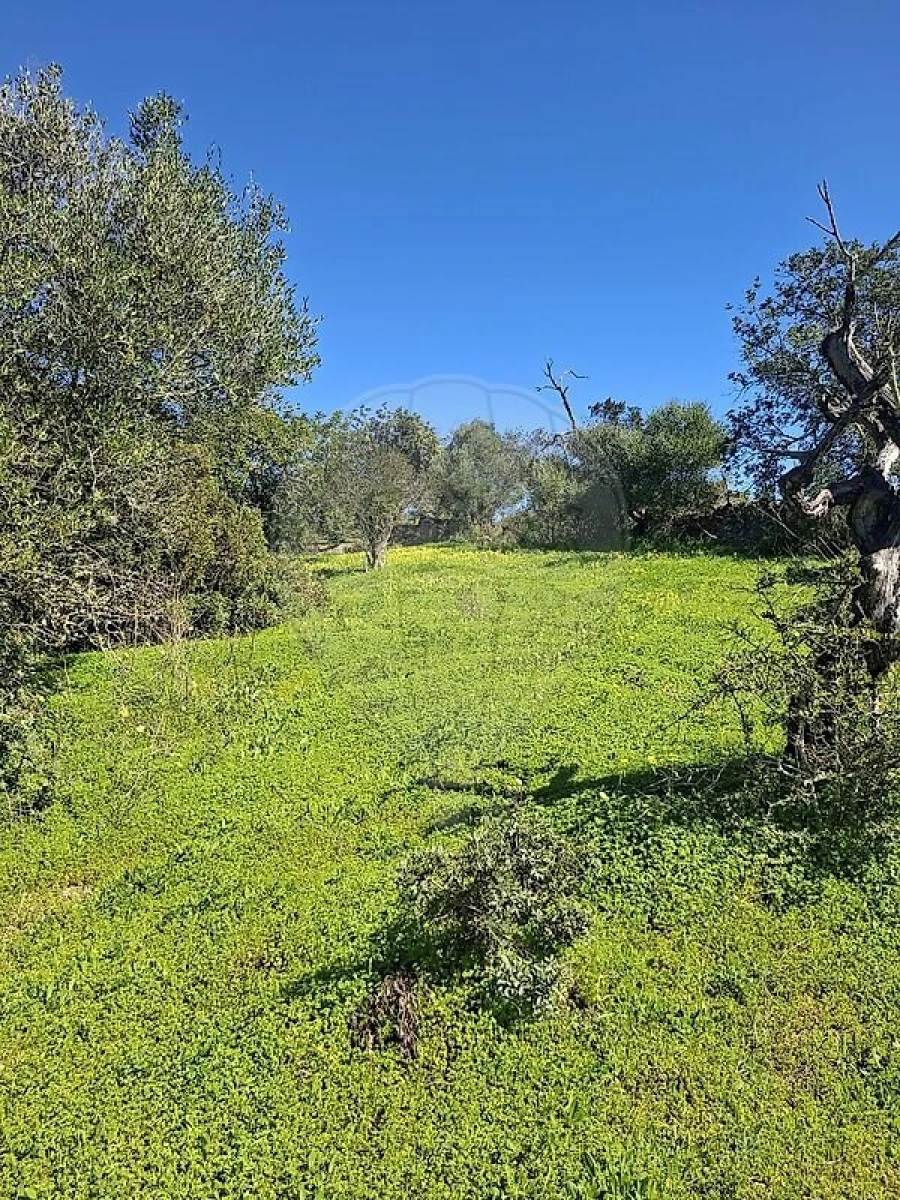 Terreno para Venda em Olhão Foto 19