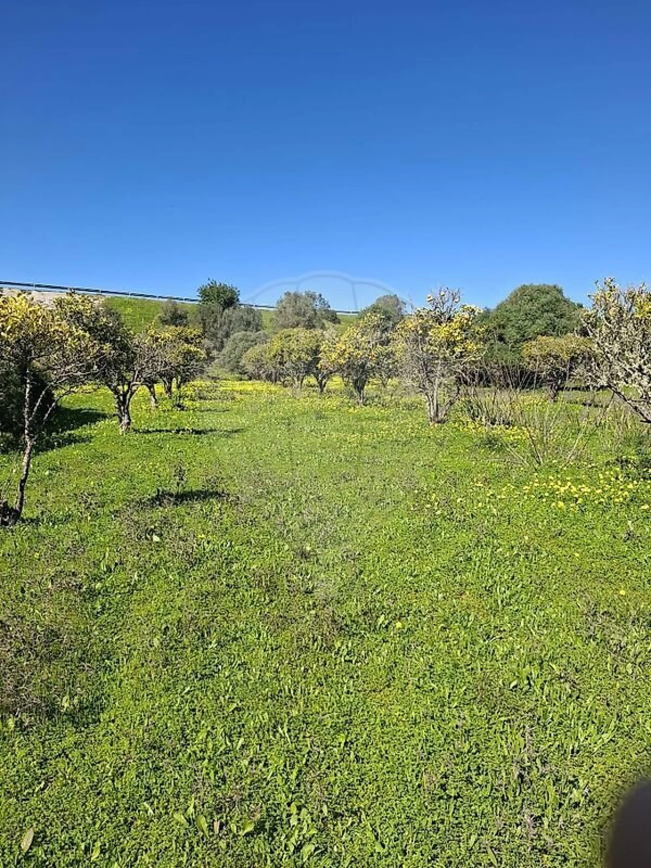 Terreno para Venda em Olhão Foto 31
