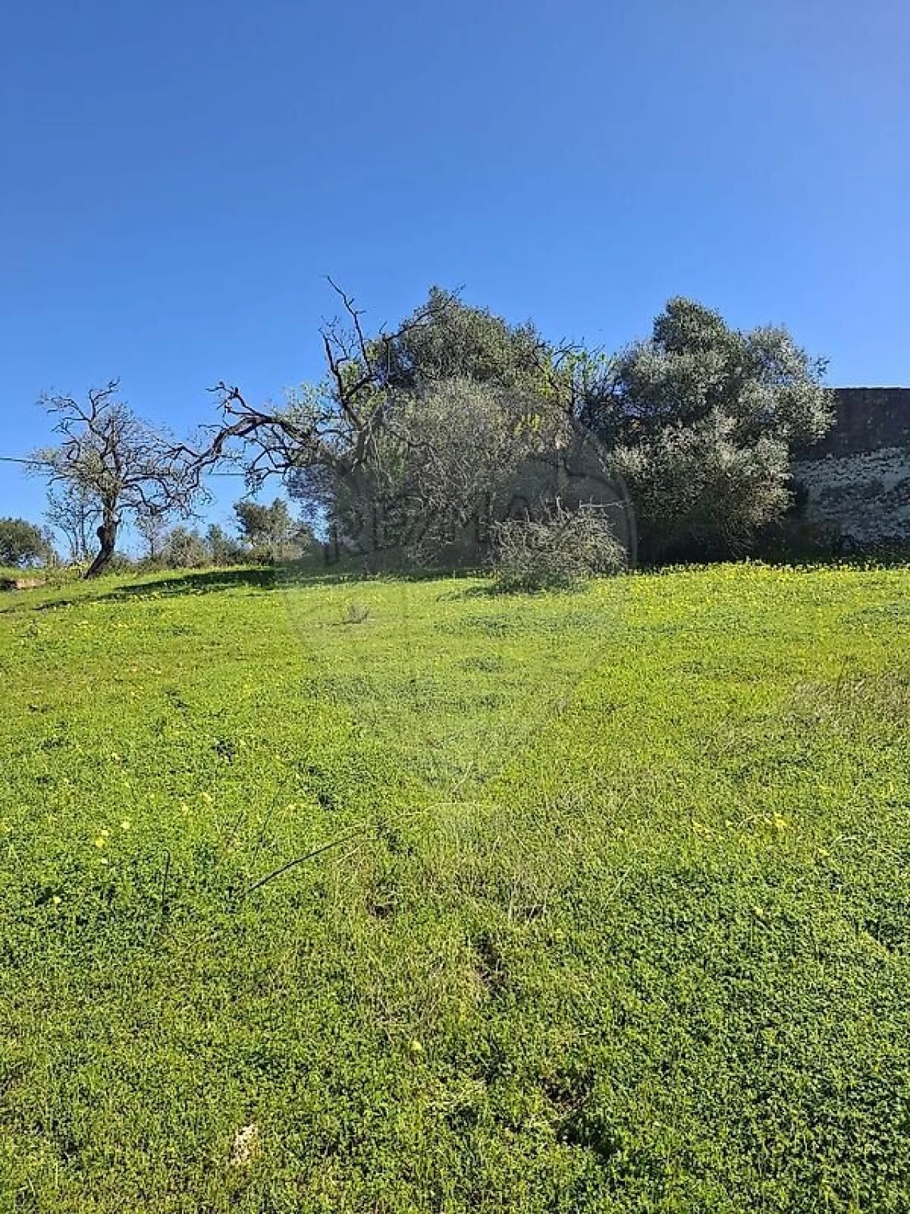 Terreno para Venda em Olhão Foto 42