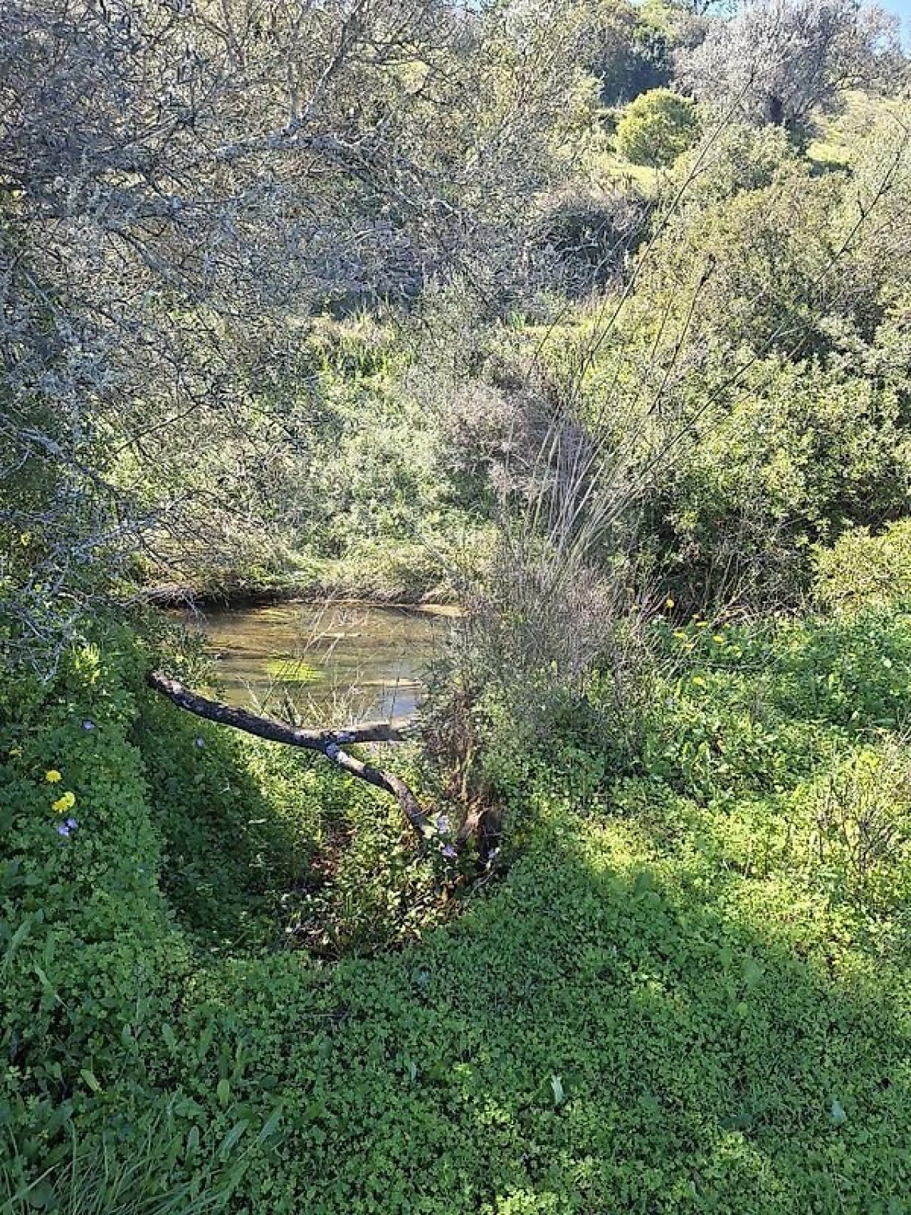 Terreno para Venda em Olhão Foto 41