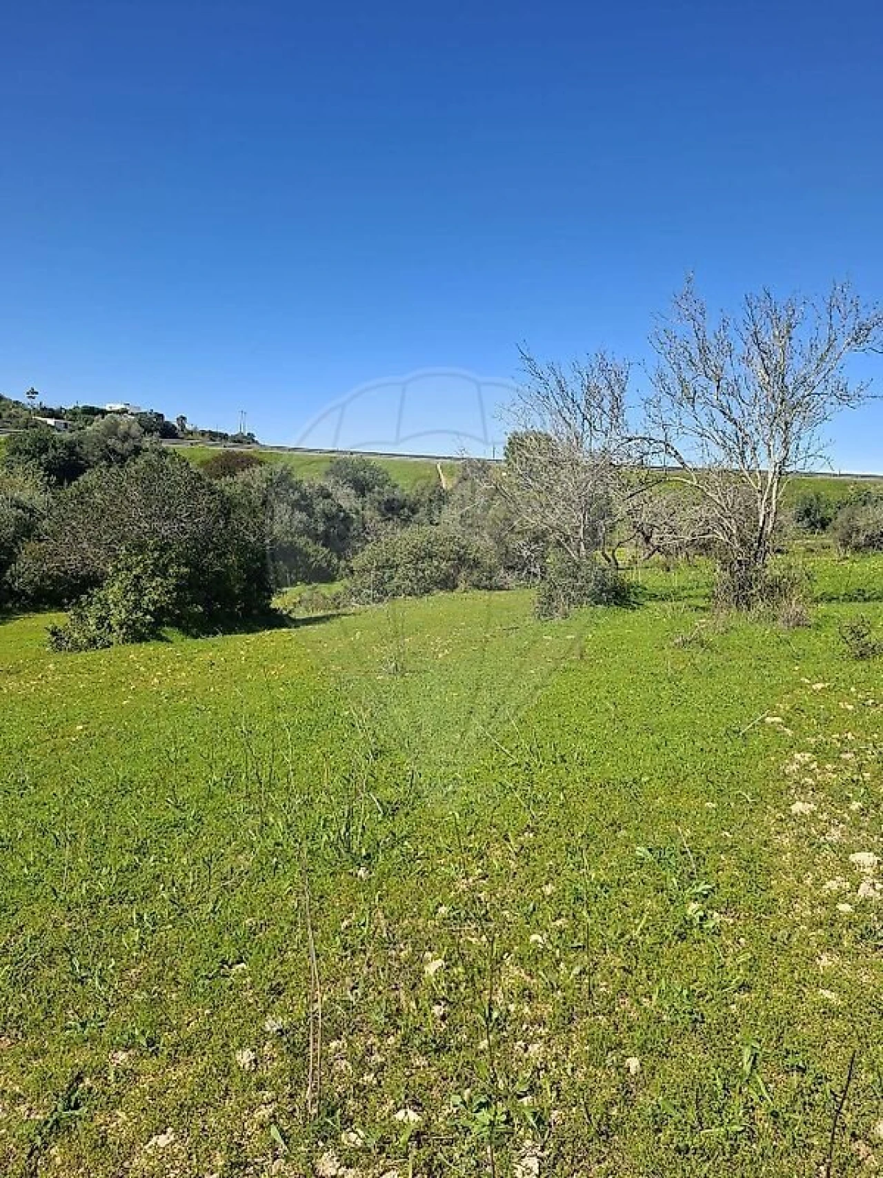 Terreno para Venda em Olhão Foto 17