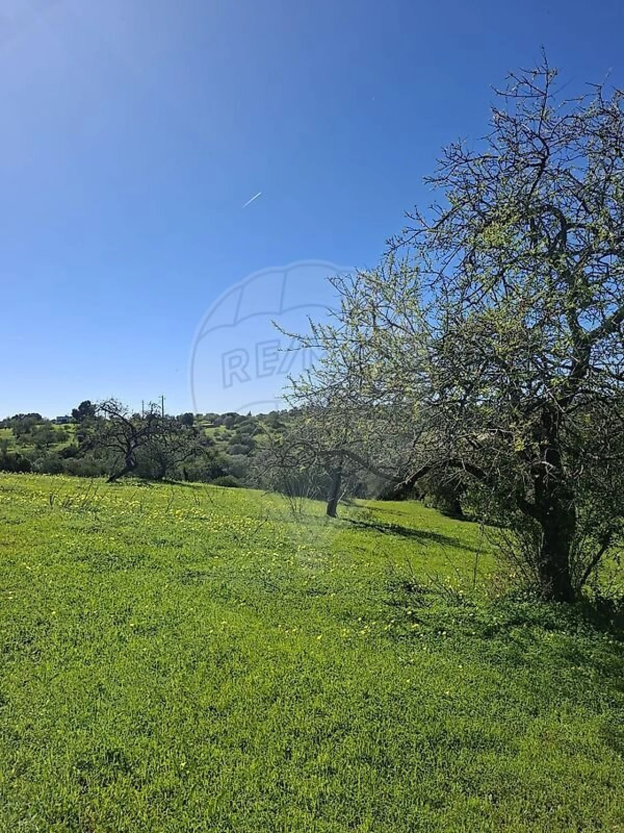 Terreno para Venda em Olhão Foto 39