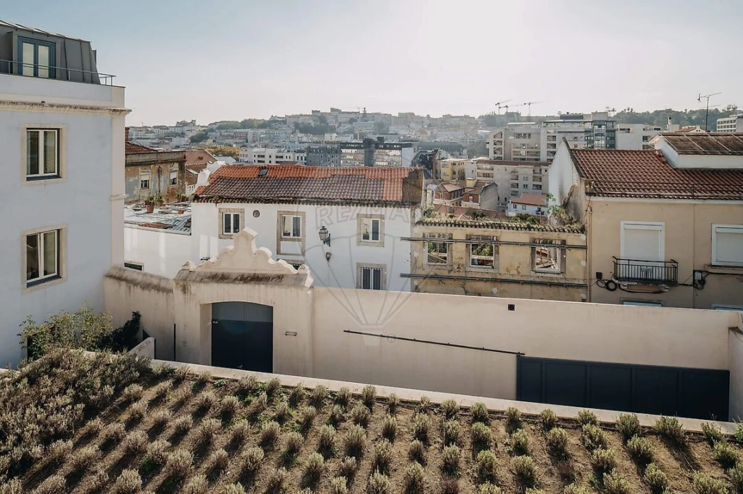 Apartamento T1 para Venda em Santo António Foto 16