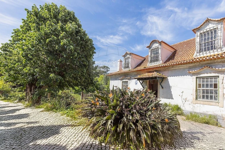 Quinta T4 para Venda em Tavarede Foto 2