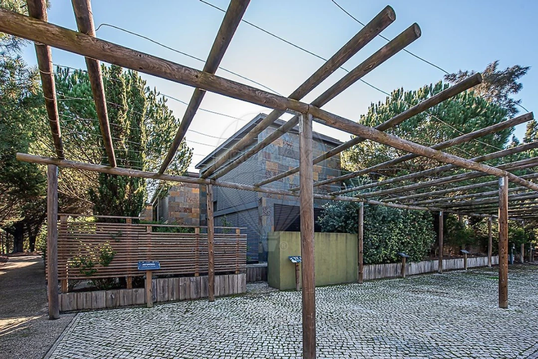 Moradia T2 para Venda em Carvalhal Foto 25