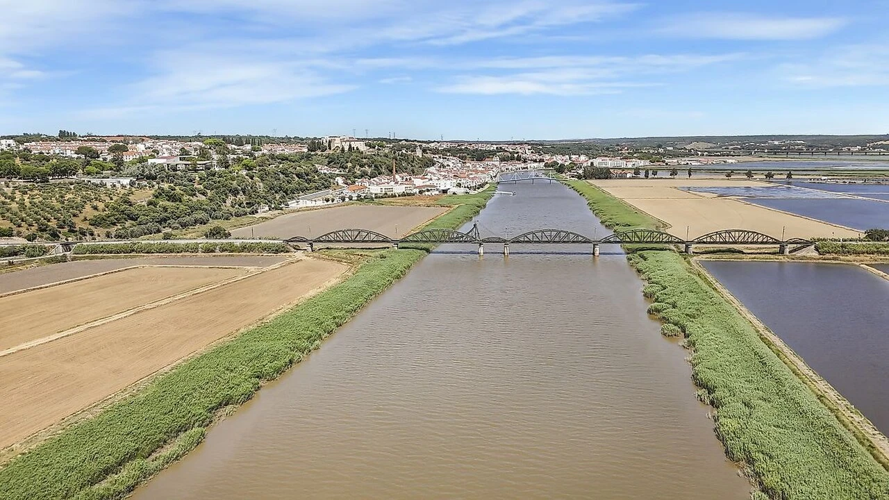 Terreno para Venda em Torrão Foto 18