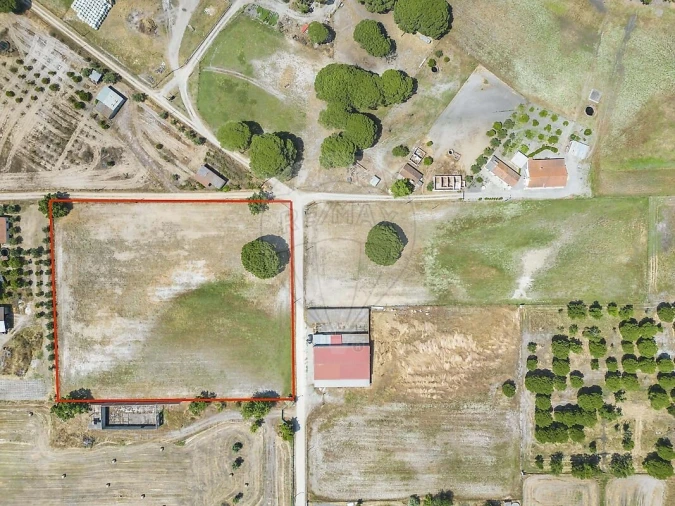 Terreno para Venda em Torrão Foto 10