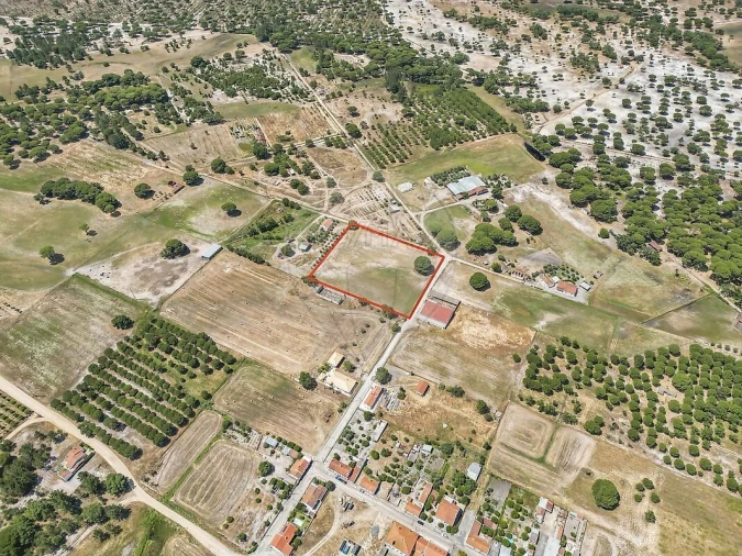 Terreno para Venda em Torrão Foto 14
