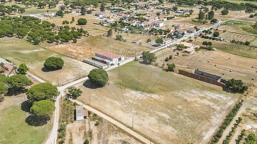 Terreno para Venda em Torrão