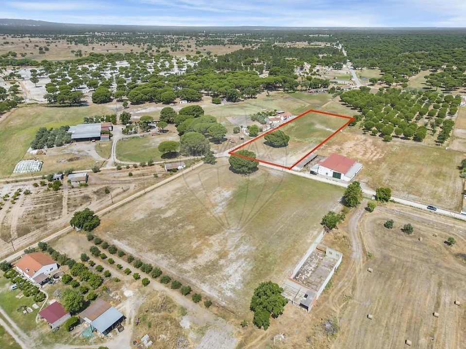 Terreno para Venda em Torrão Foto 6