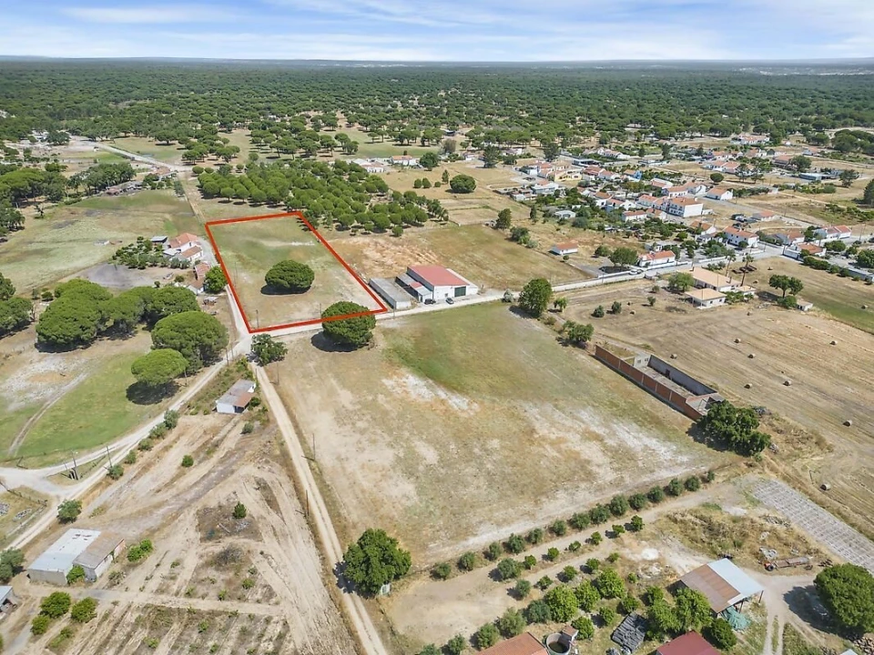 Terreno para Venda em Torrão Foto 4