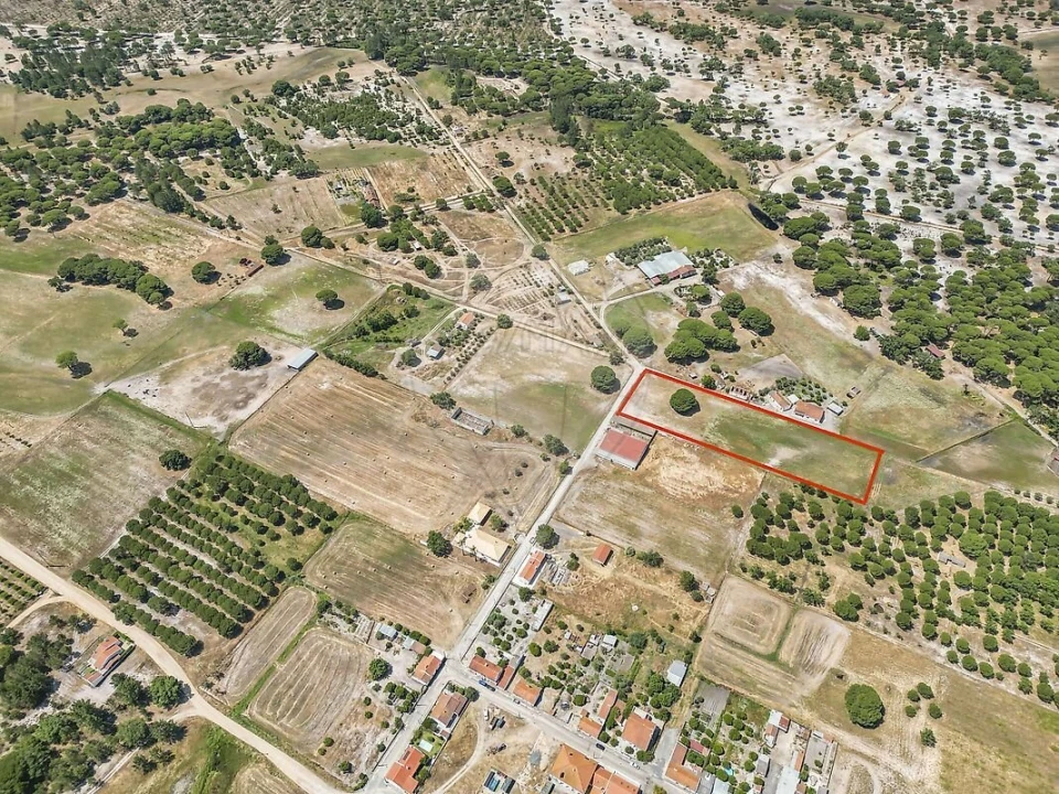 Terreno para Venda em Torrão Foto 14