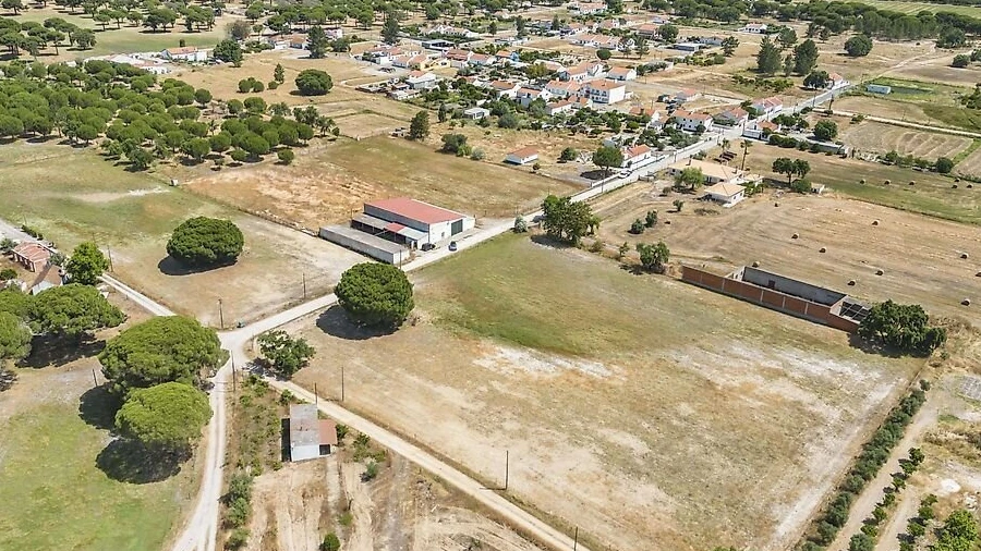 Terreno para Venda em Torrão