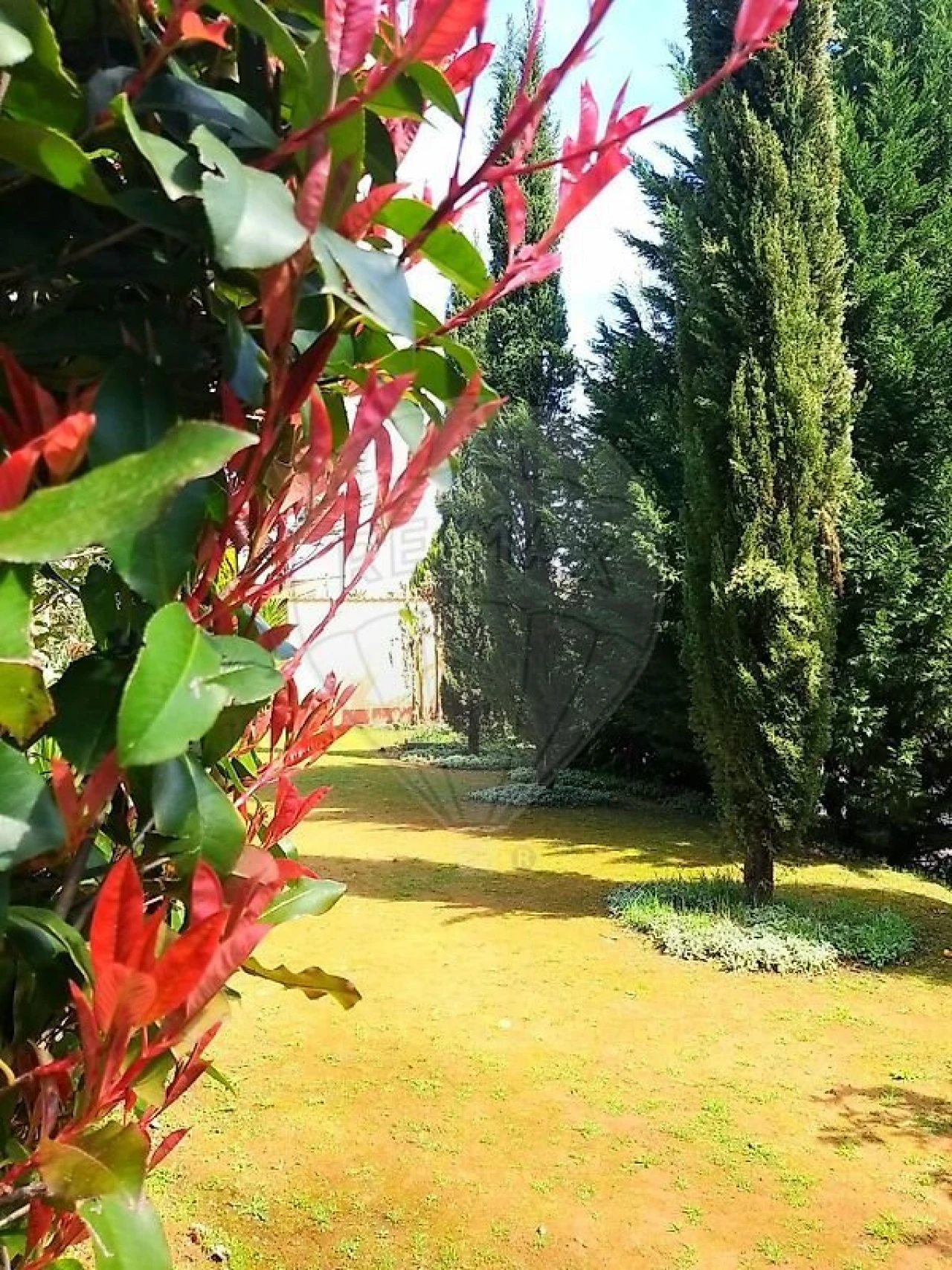 Quinta T21 para Venda em Nossa Senhora do Pranto Foto 12