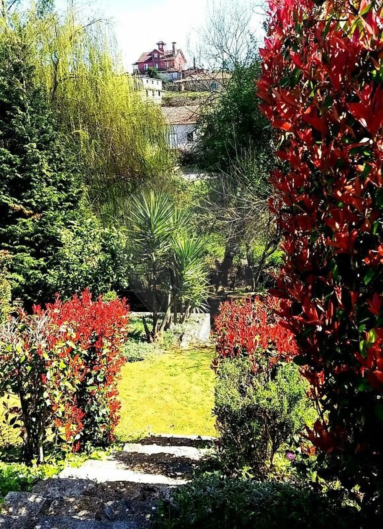 Quinta T21 para Venda em Nossa Senhora do Pranto Foto 13