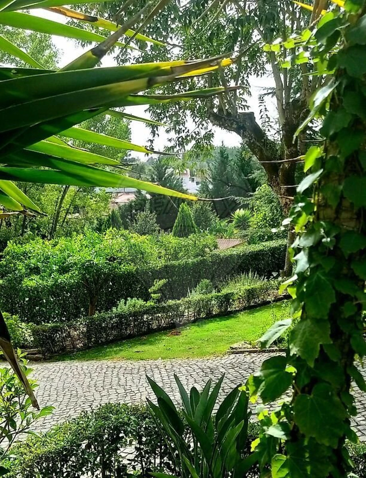 Quinta T21 para Venda em Nossa Senhora do Pranto Foto 10