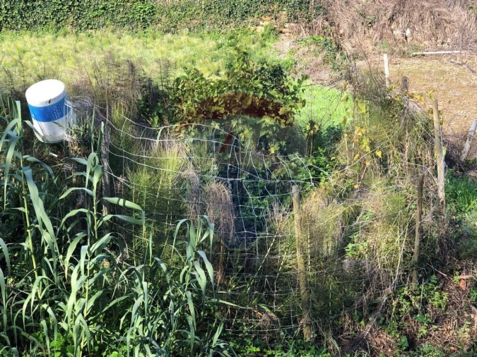 Terreno para Venda em Arranho Foto 7