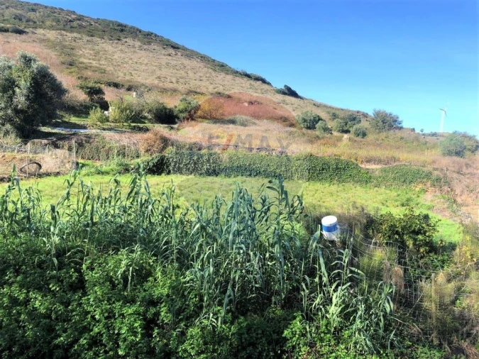 Terreno para Venda em Arranho Foto 2