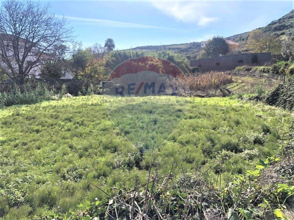 Terreno para Venda em Arranho Foto 4
