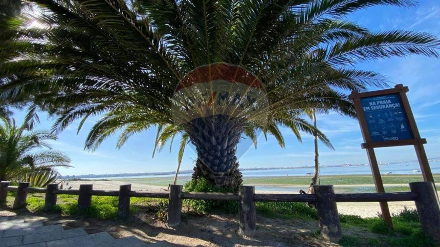 Quinta T0 para Venda em Moita Foto 15